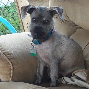 Meet your Posher, Kathy